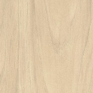Hickory